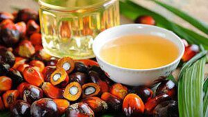 Sunflower, soyabean oils gaining market in India over pricey palm oil