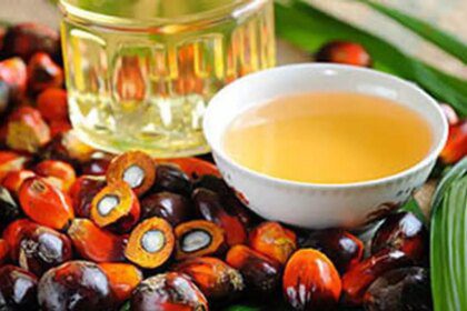 Sunflower, soyabean oils gaining market in India over pricey palm oil