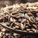 India’s cumin output for 2024-25 may shrink on dip in area, weather woes