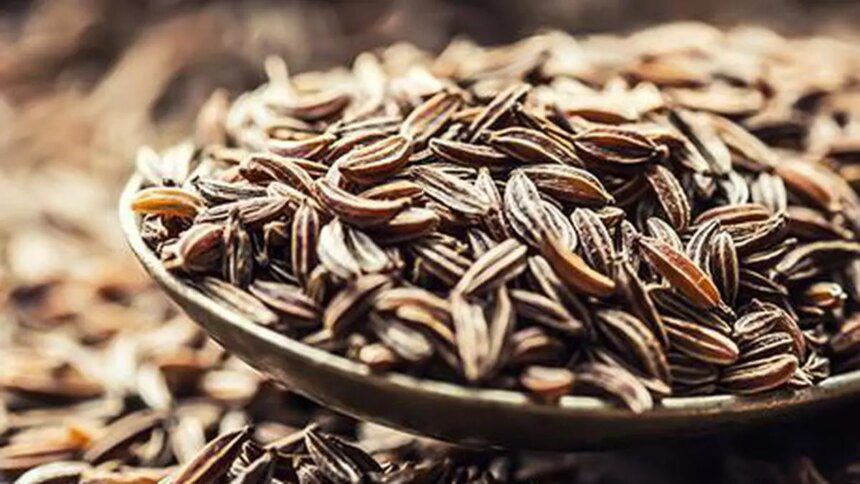 India’s cumin output for 2024-25 may shrink on dip in area, weather woes