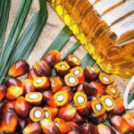 India’s palm oil imports plunge to 13-year low