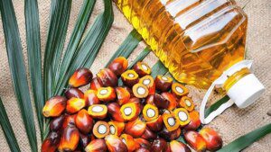 India’s palm oil imports plunge to 13-year low