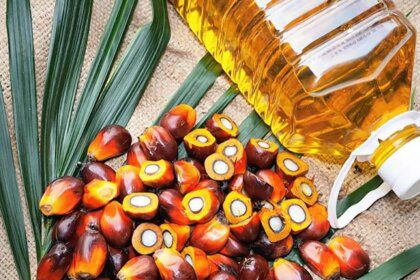 India’s palm oil imports plunge to 13-year low