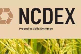 NCDEX eyes equity trading amid agri derivatives ban, plans ₹600 cr investment