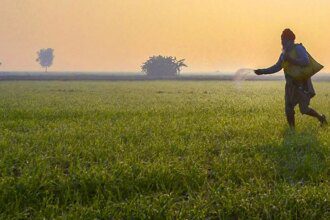 Budget 2025: Agri stocks surge post PM Dhan-Dhaanya Krishi Yojana announcement