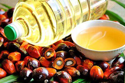 Current premium of palm oil prices may be unsustainable: IVPA chief