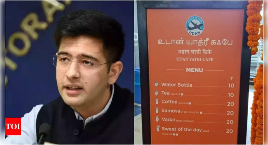 'A small spark can ... ': Raghav Chadha welcomes setting up of affordable food canteens at airports