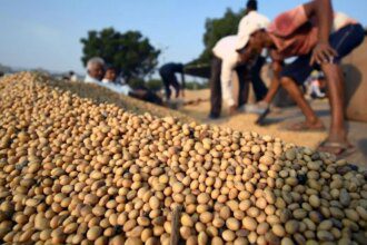 SOPA urges government not to allow open market sale of soyabean procured under PSS till July