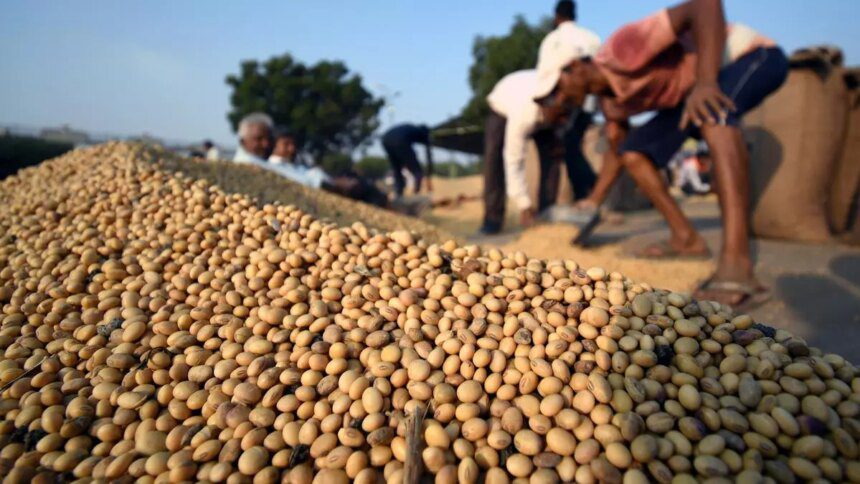 SOPA urges government not to allow open market sale of soyabean procured under PSS till July