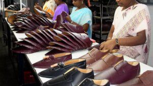 Economic Survey highlights Tamil Nadu’s footwear expansion, learning innovations