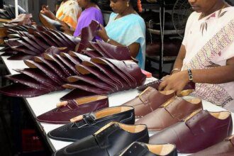 Economic Survey highlights Tamil Nadu’s footwear expansion, learning innovations