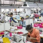 Vietnam gains in cotton apparel exports as US, EU book more orders