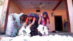 CottonConnect to launch pilot project on Kasturi Cotton in western India