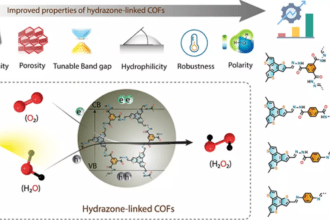 Hydrogen peroxide: Eco-friendly synthesis - The Hindu BusinessLine