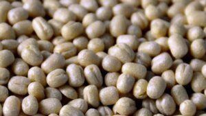 Govt extends duty-free imports of urad till March 31, 2026