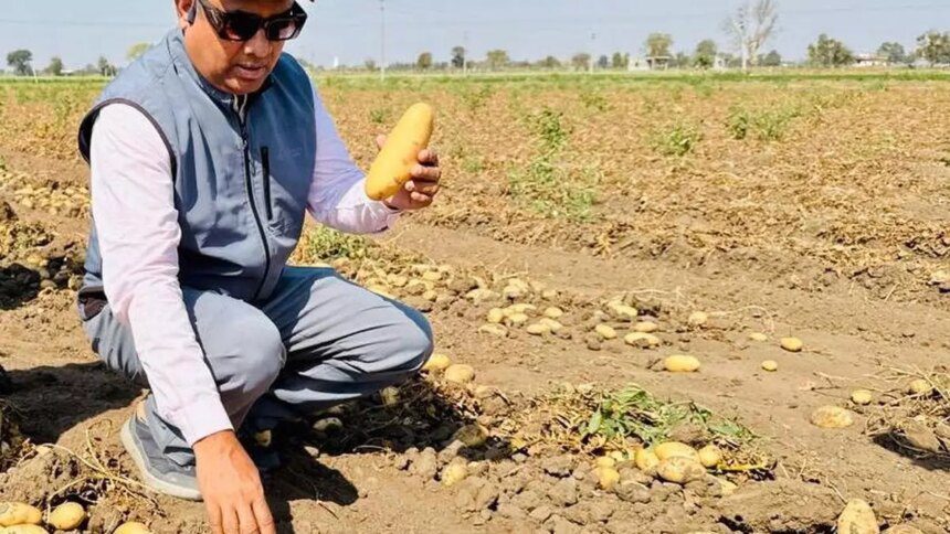 HyFarm launches Paathshaala pilot to help potato farmers cut costs, raise yield