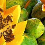 London gets a taste of Odisha’s green papayas