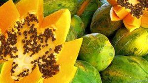 London gets a taste of Odisha’s green papayas