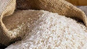 Rejections of non-basmati rice shipments to EU rise despite mandatory ‘certificate’