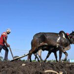 Silent Graves, Forgotten Farmers: Maharashtra’s battle between history and survival