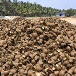 Activated carbon sector in dire straits as coconut shell availability slumps